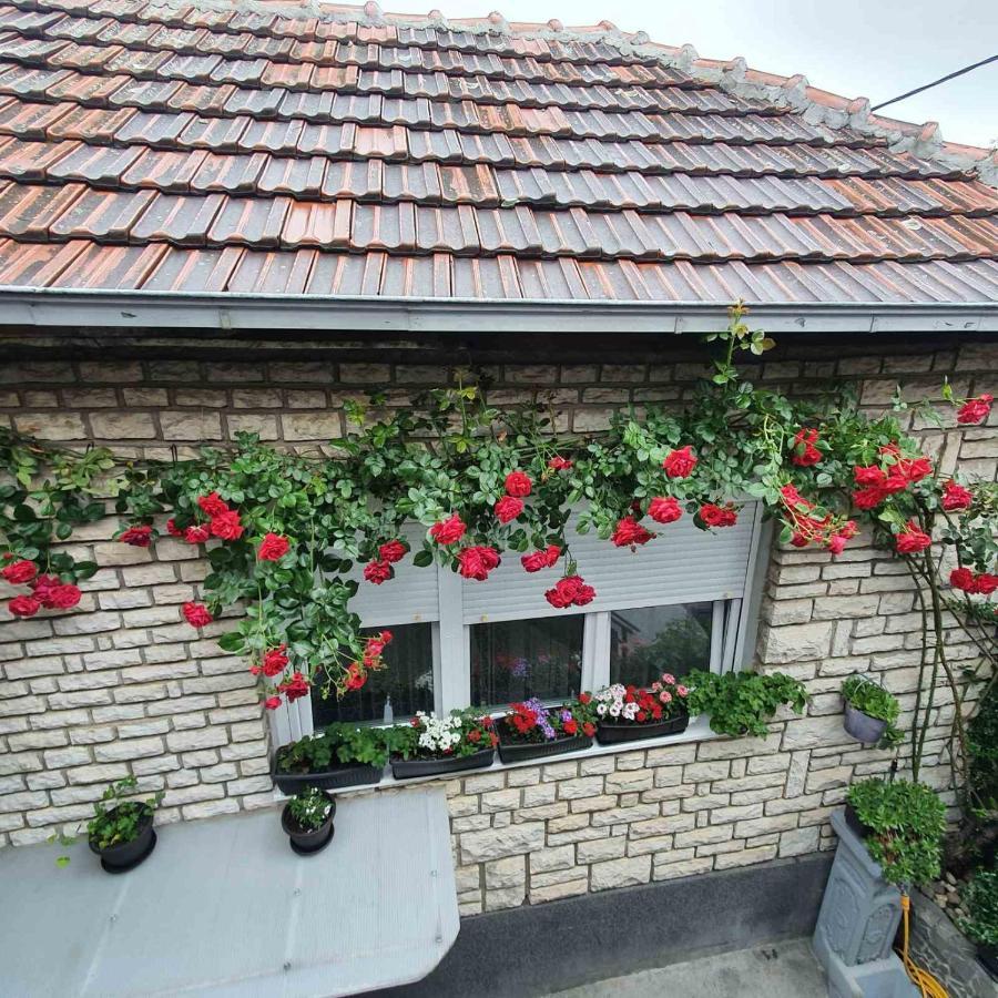Apartament Fortress